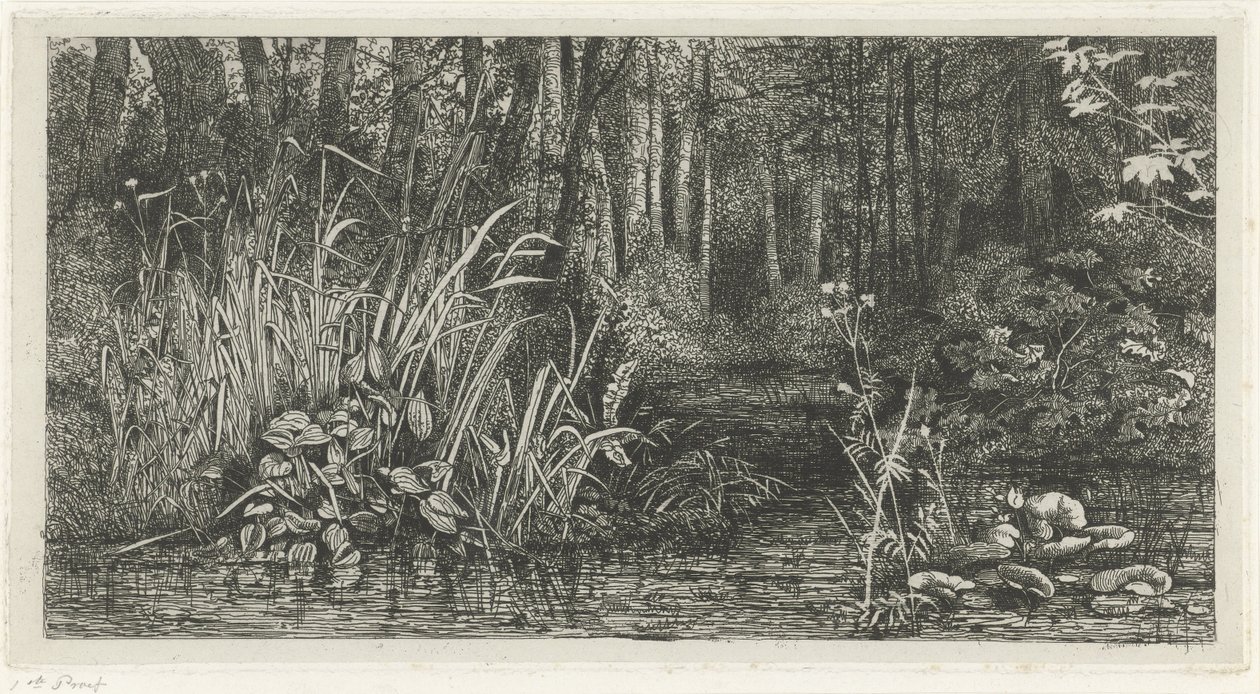 Bosbeekje door Jacobus Ludovicus Cornet