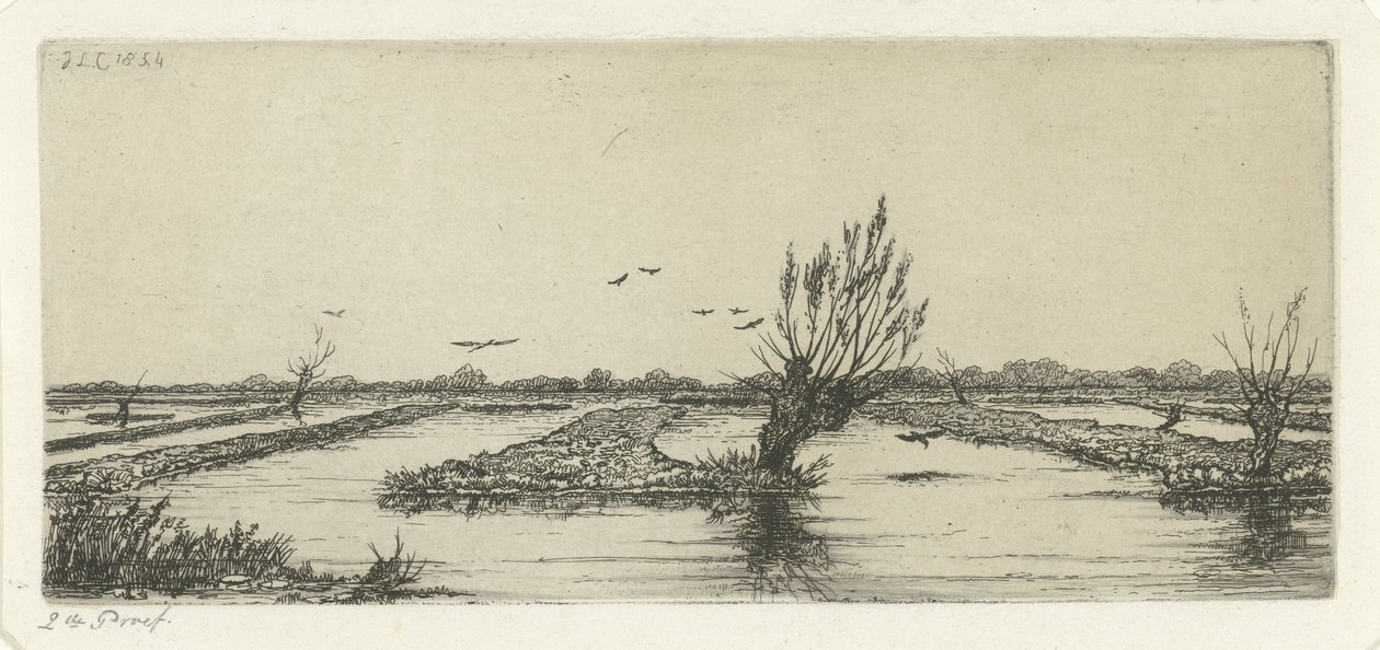 Veenplas door Jacobus Ludovicus Cornet