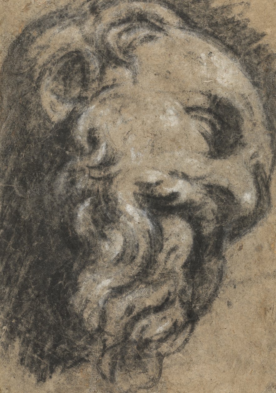 Studie na Michelangelo