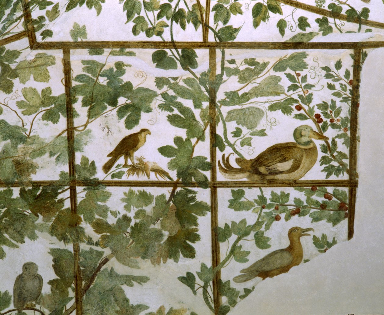 Fresco van een Volière in de Villa Medici, c.1576-77 door Jacopo Zucchi