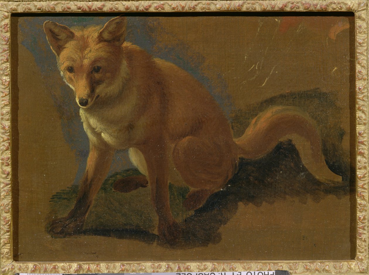 Studie van een vos door Jacques Laurent Agasse