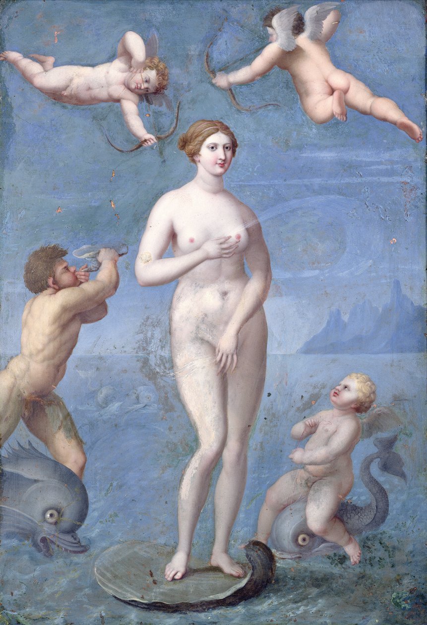 Venus, 1640 door Jacques Stella