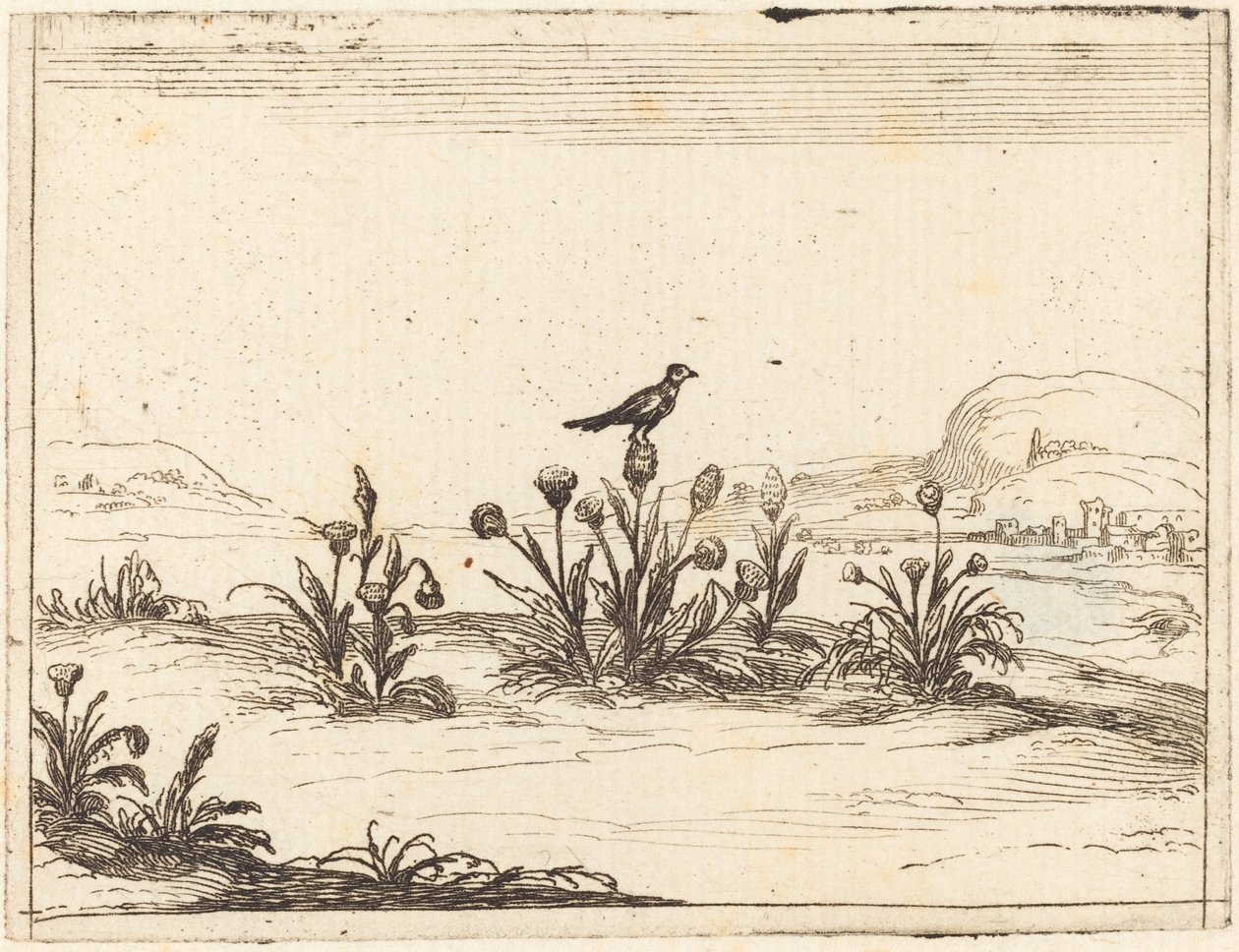 Vogel op een Distel door Jacques Callot