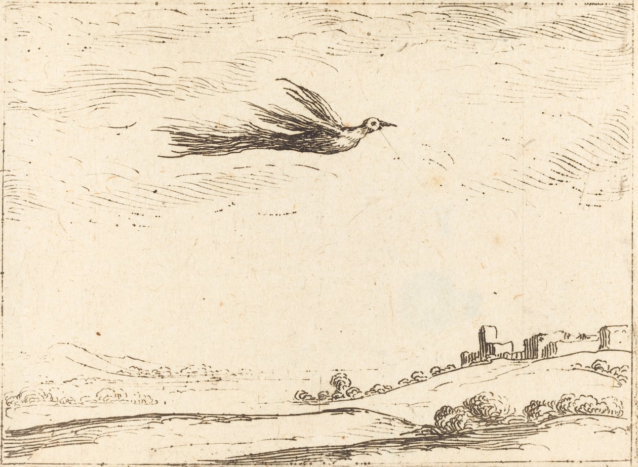 Paradijsvogel door Jacques Callot