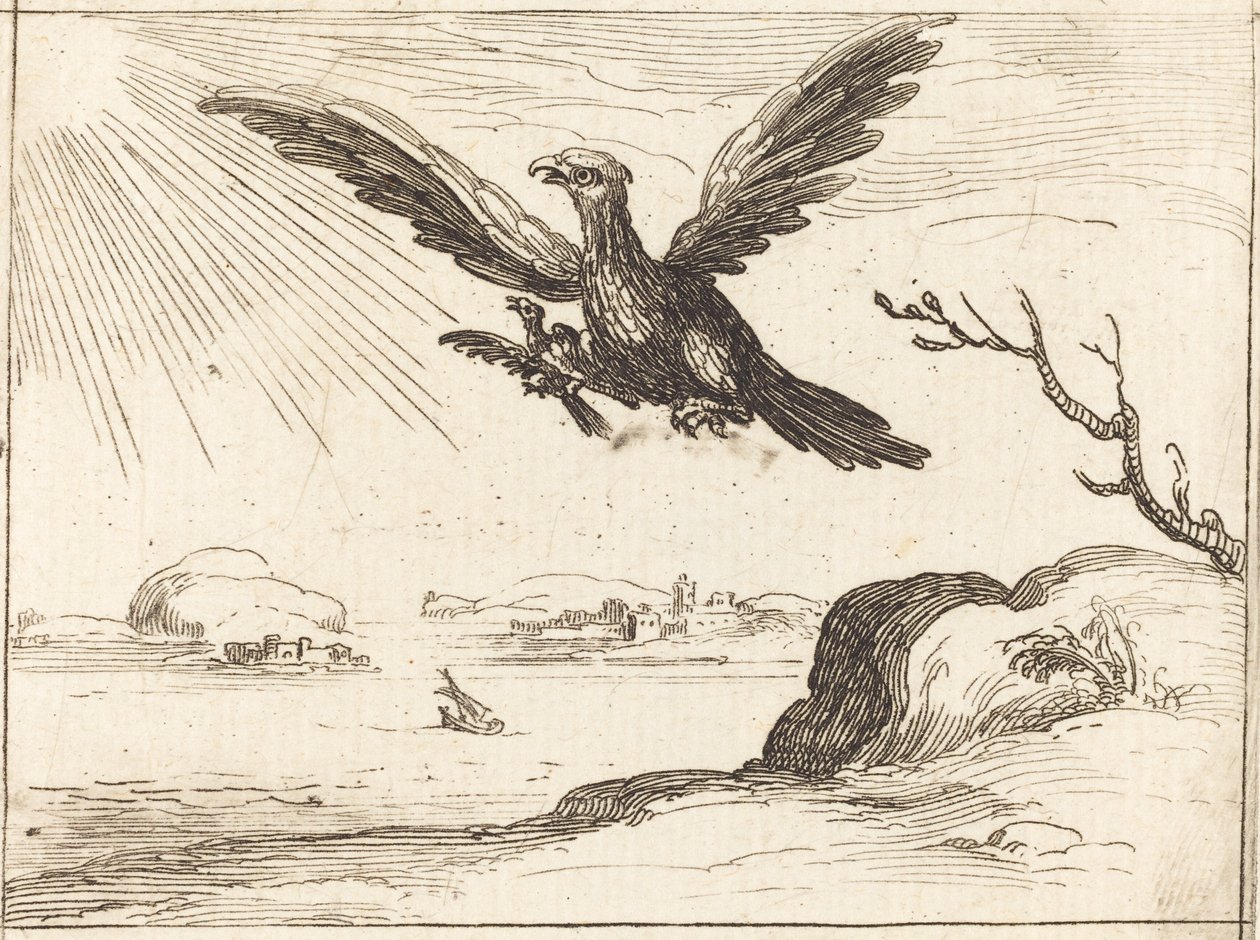 Adelaar en Jong door Jacques Callot