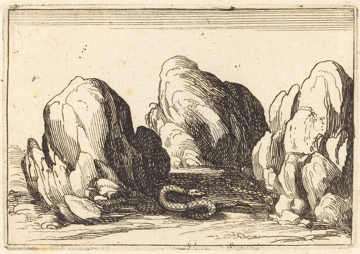Slang door Jacques Callot