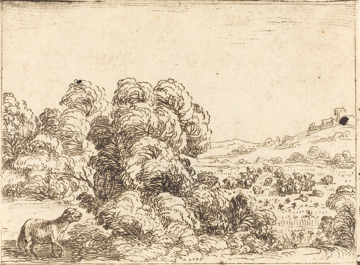 Schaap Roept Lam door Jacques Callot