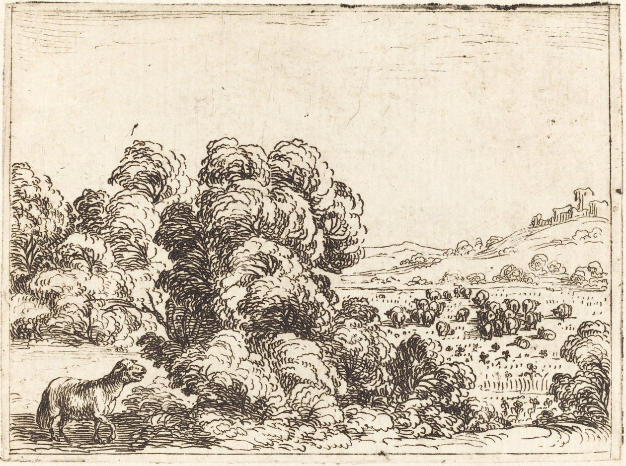 Schaap Roept Lam door Jacques Callot
