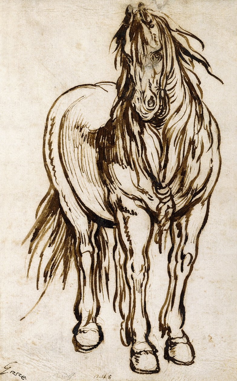 Studie van een Paard door Jacques Callot