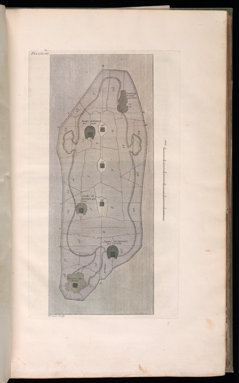 Gebonden prent (Frankrijk) door Jacques François Blondel