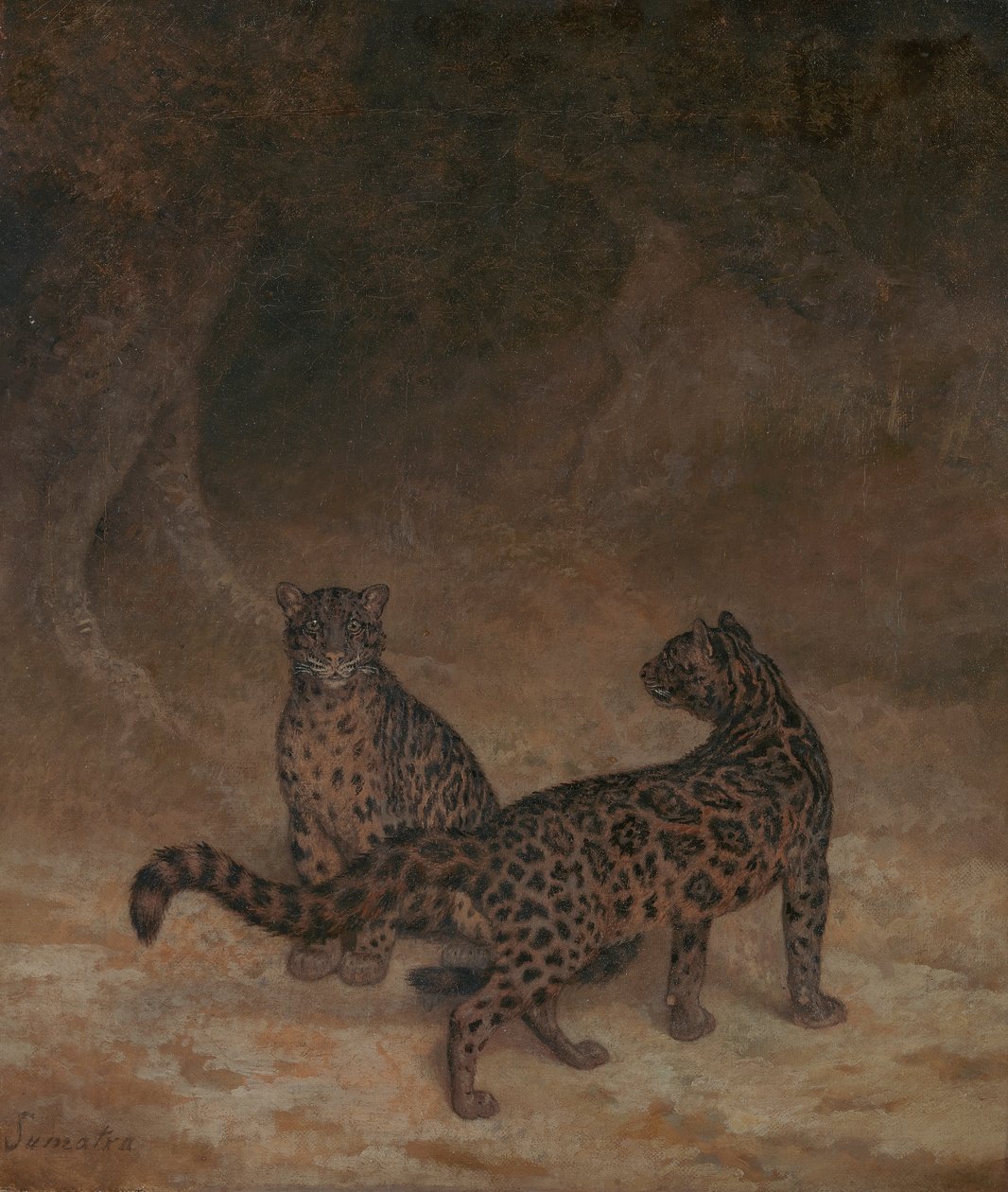 Nevelpanters door Jacques Laurent Agasse