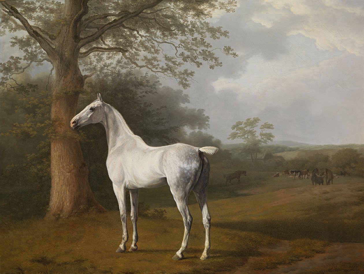Grijs paard in de wei door Jacques Laurent Agasse