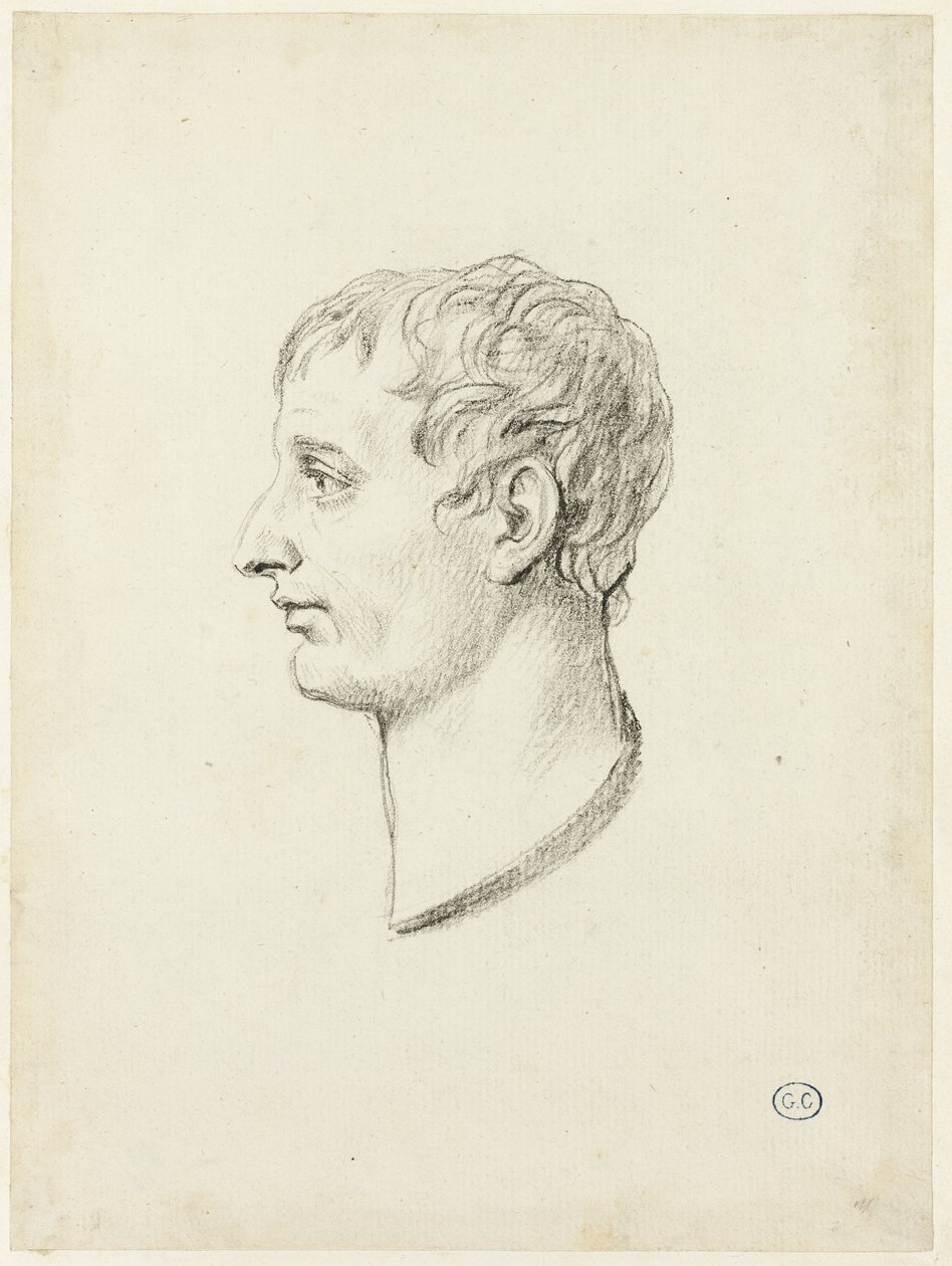 Profiel van Napoleon door Jacques Louis David