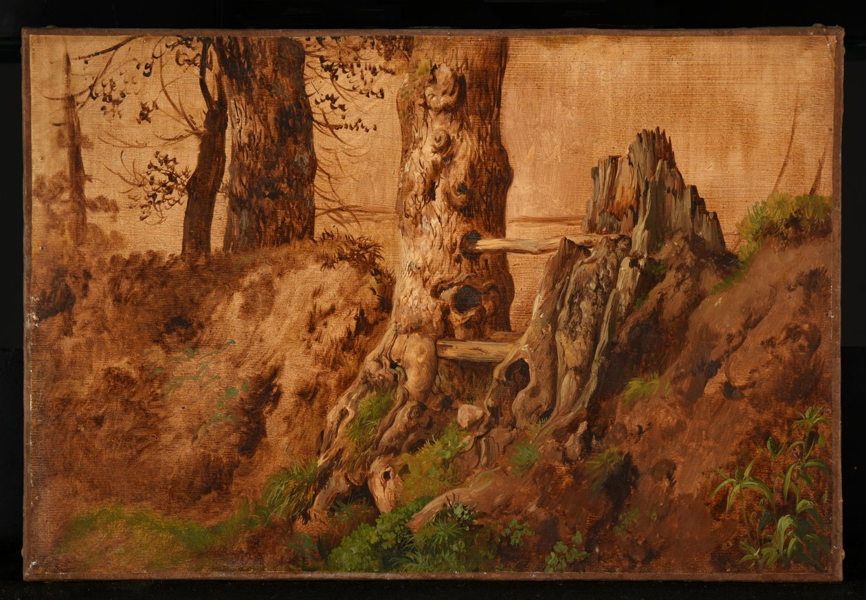 Bomen en rotsen door Jacques Raymond Brascassat