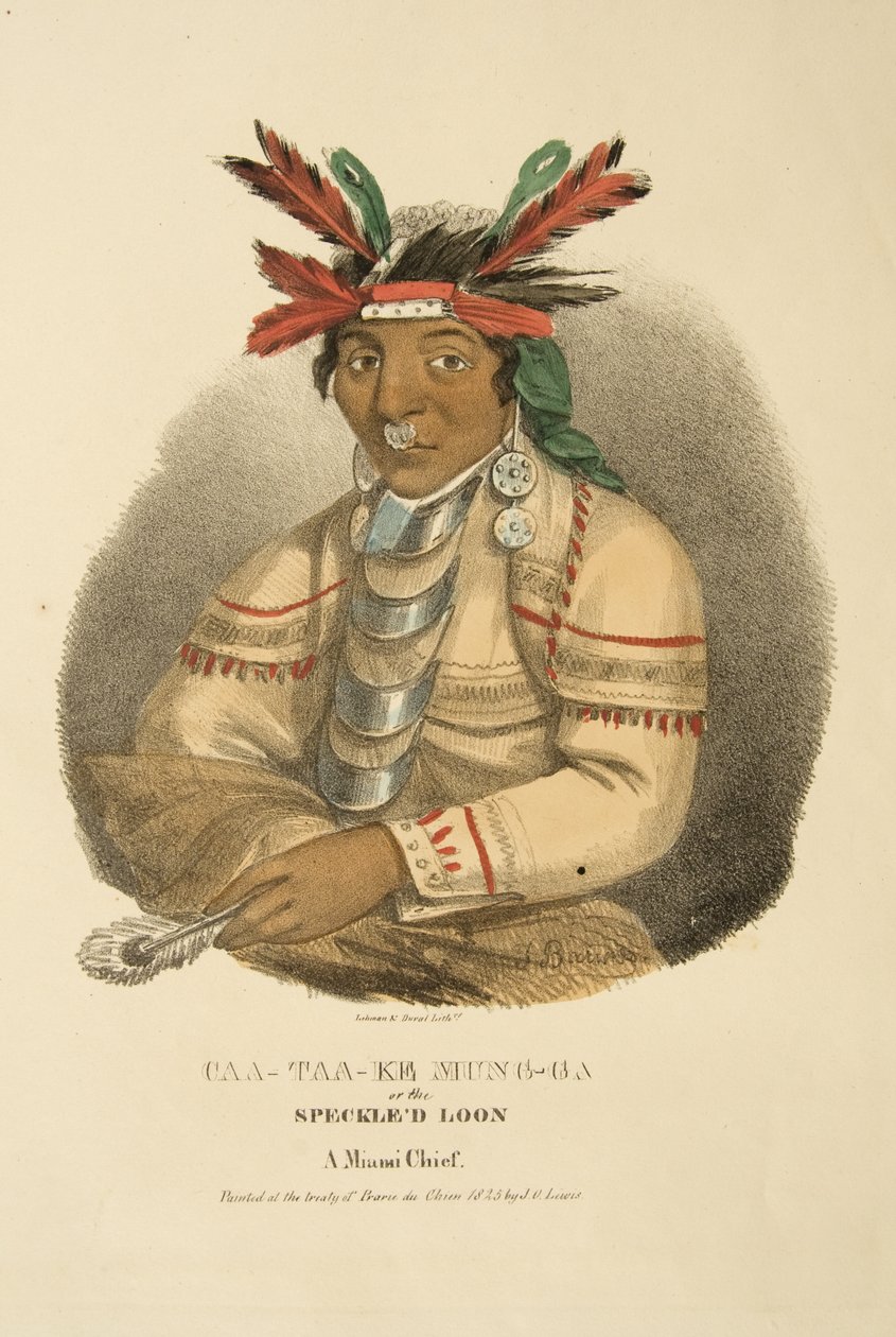 Caa-taa-ke Mung-ga of de Gevlekte Loon door James Otto Lewis