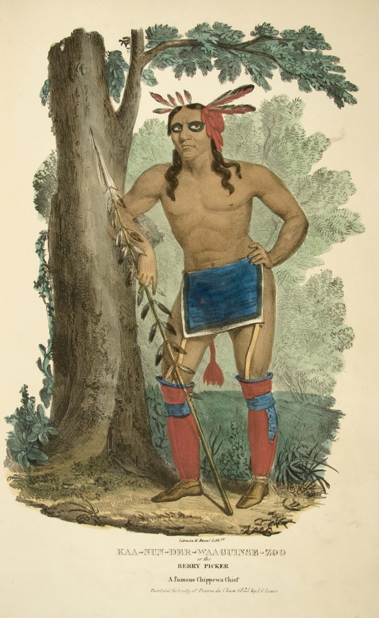Kaa-nun-der-waaguinse-zoo of de Bessenplukker door James Otto Lewis