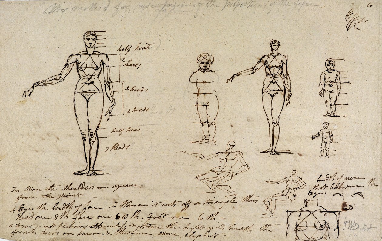 Studies van anatomie met metingen en schrijven door James Ward