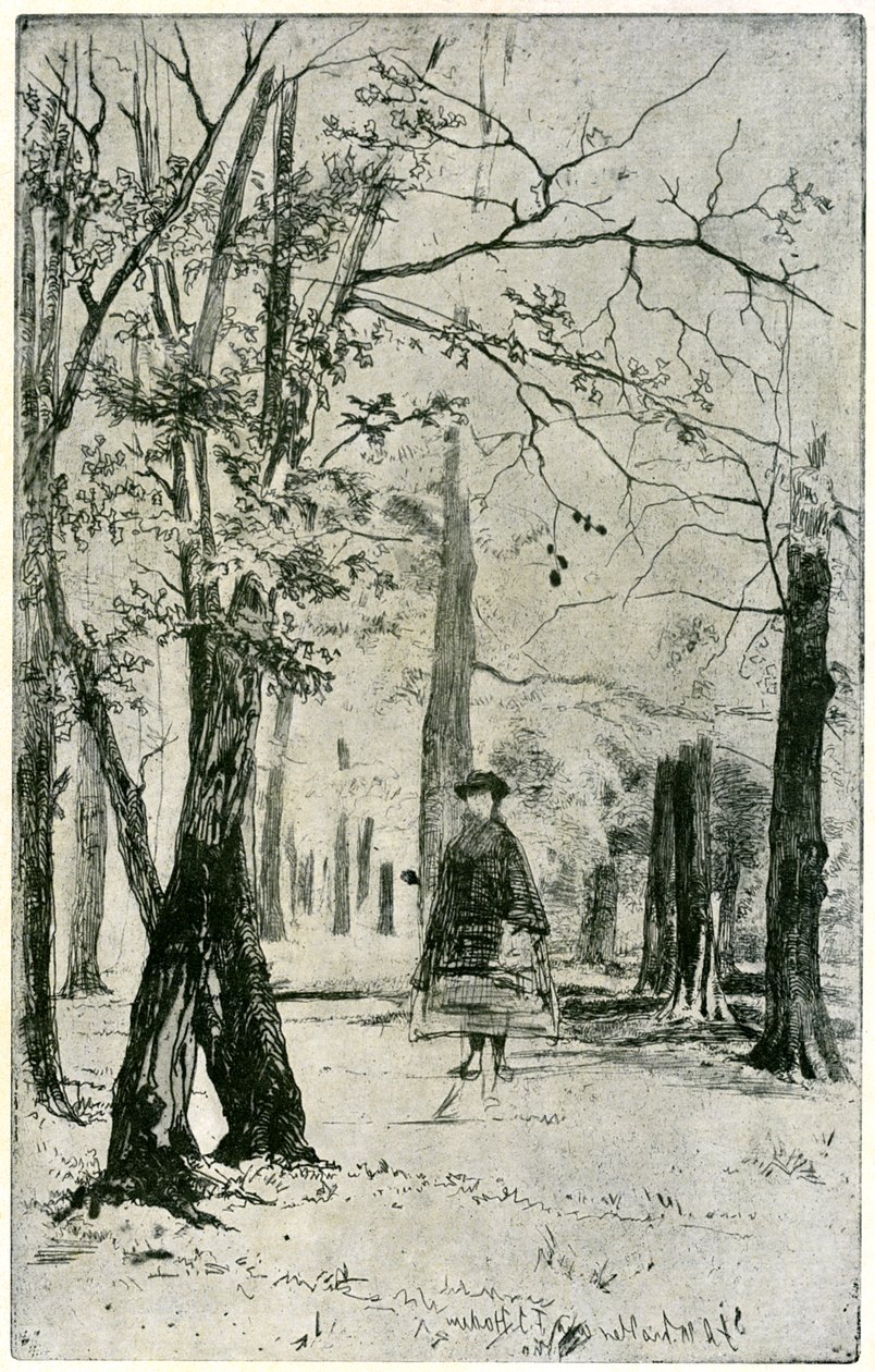 Het bos door James Abbott McNeill Whistler