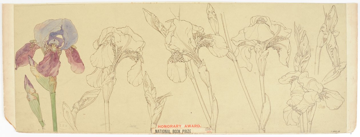 Botanische studies, 1900-30 door James Atherton