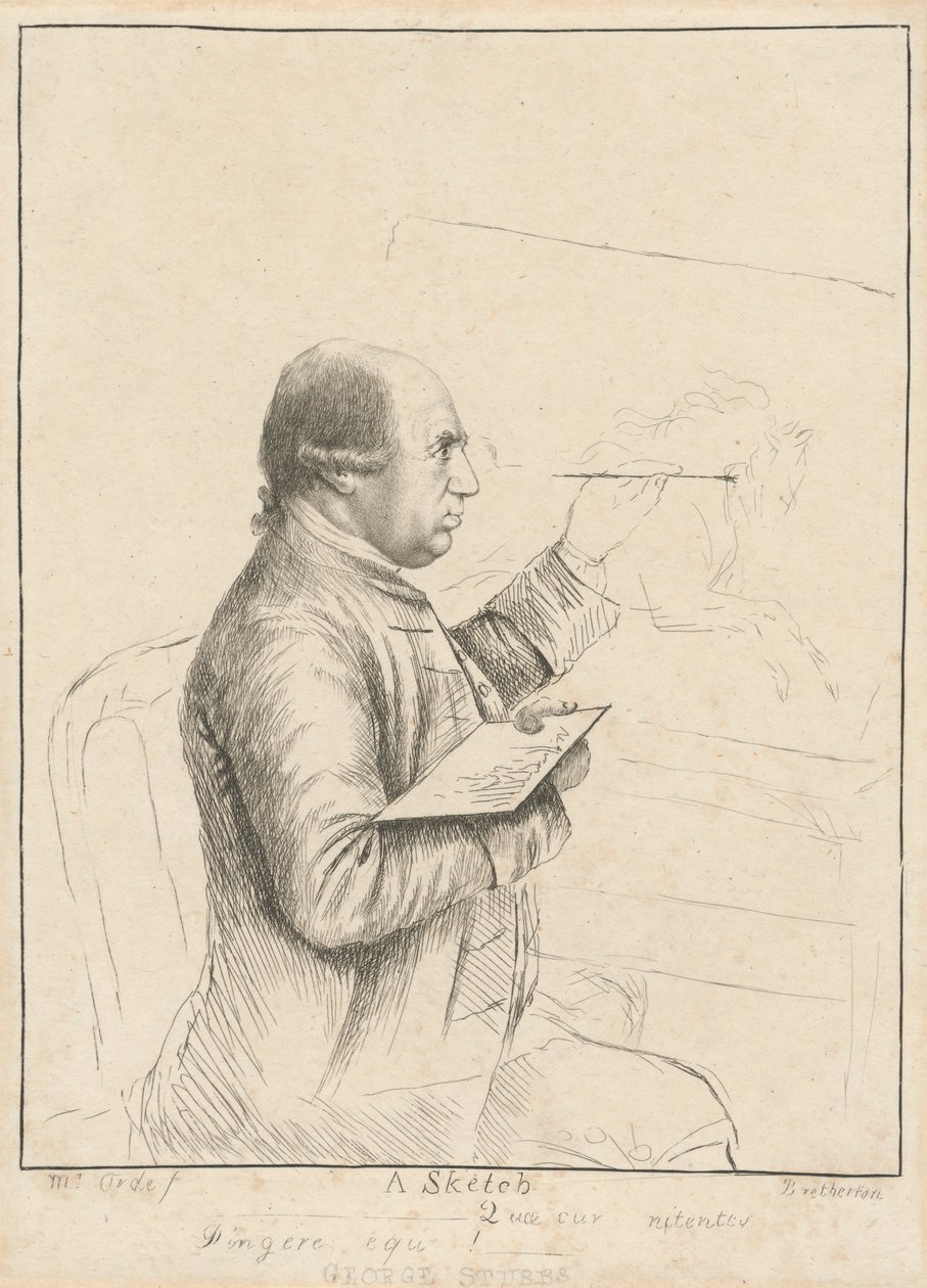 George Stubbs: Een schets door James Bretherton