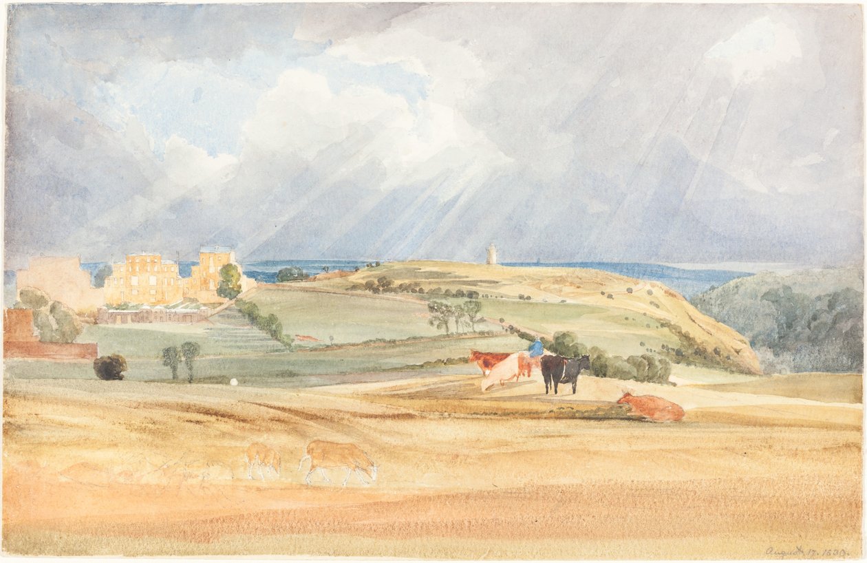 Landschap met vee (Somerset?) door James Bulwer