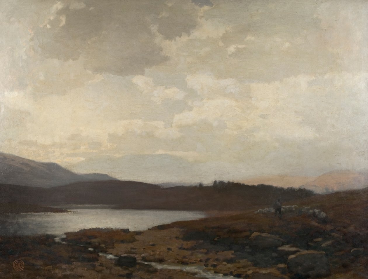 Dinnet Moor door James Cadenhead