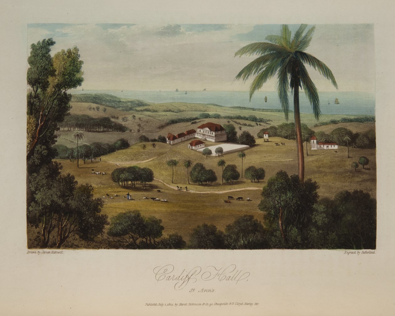 Cardiff Hall, St. Anns door James Hakewill