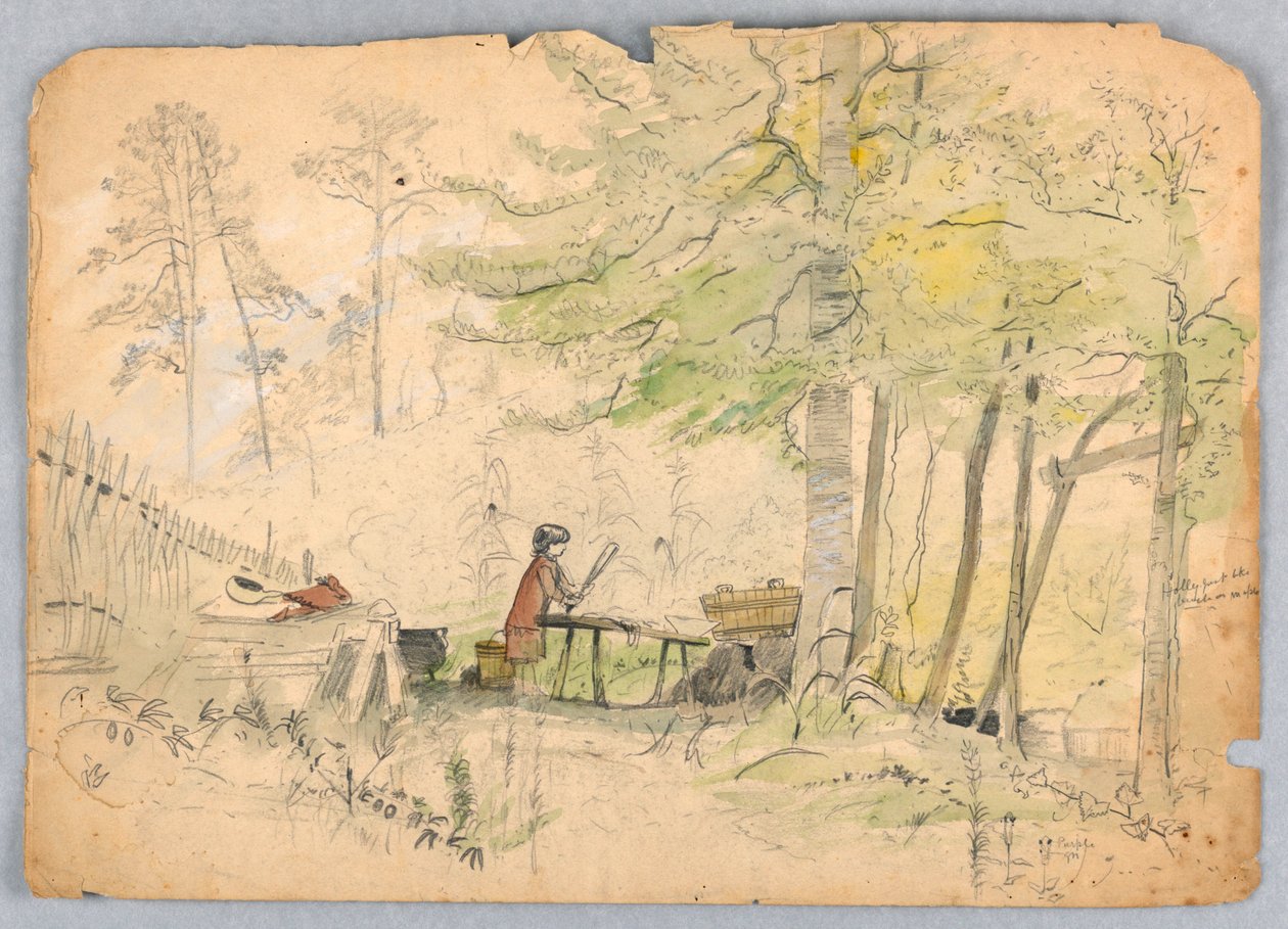 Boskamp door James Henry Moser