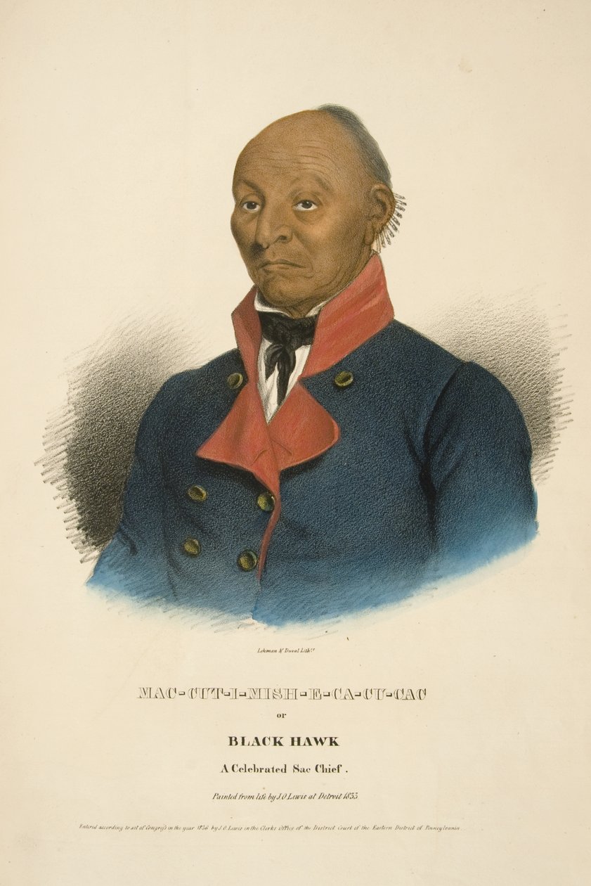 Mac-cut-i-mish-e-ca-cu-cac of Zwarte Havik door James Otto Lewis