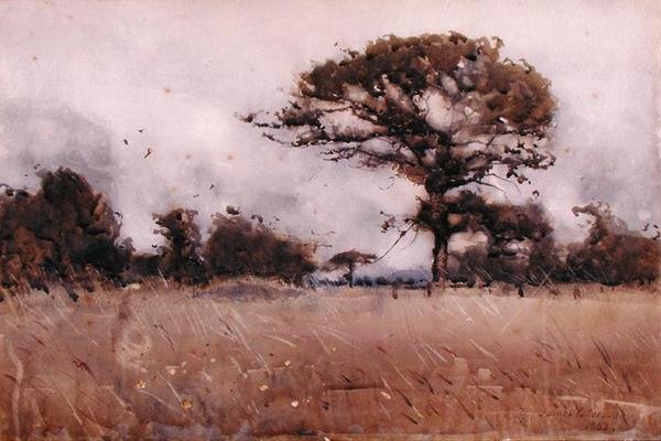 Wind door James Paterson