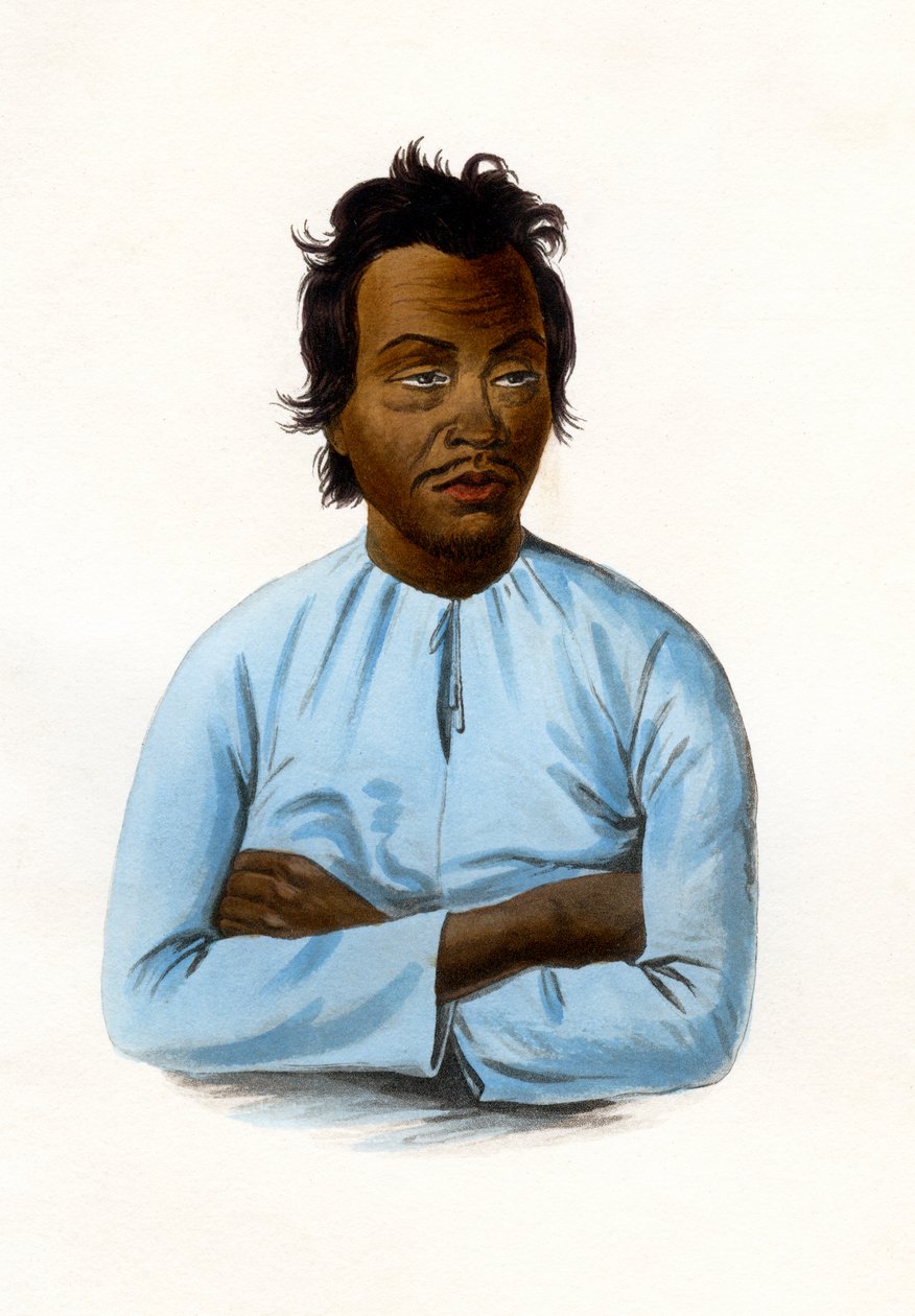 De Maleier, ca. 1840 door James Prichard