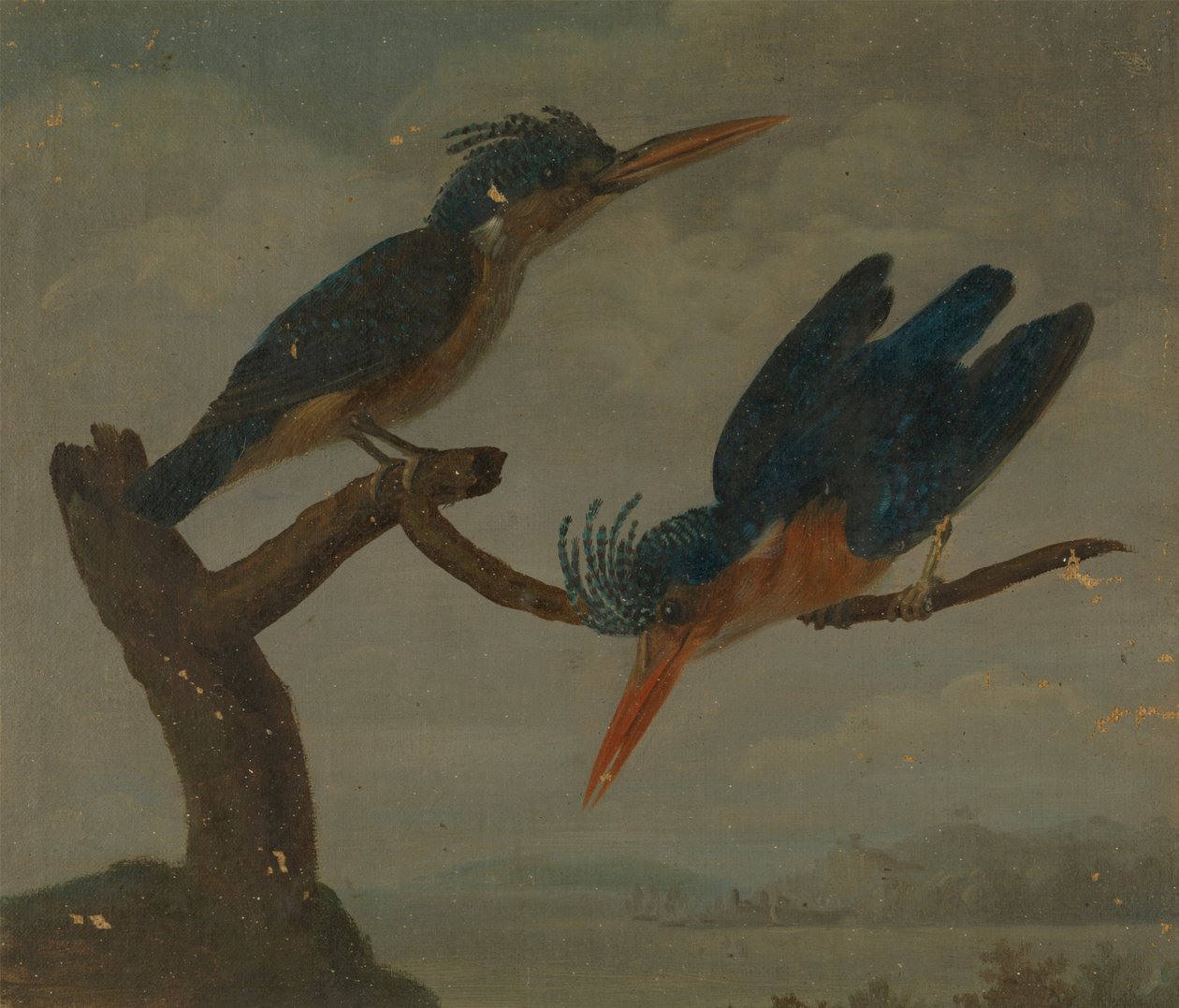 Twee ijsvogels naast een meer door James Sowerby