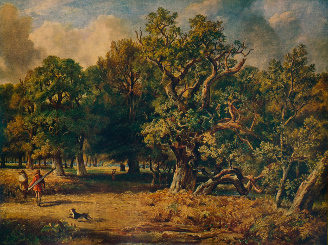 Windsor Forest, c1835 door James Stark