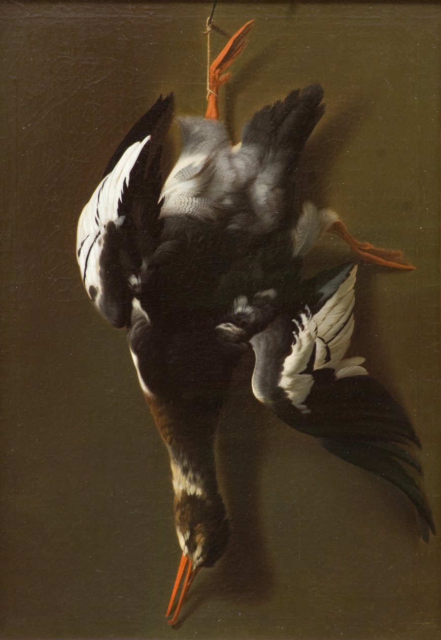 Dode Vogel, c.1815 door James Thom