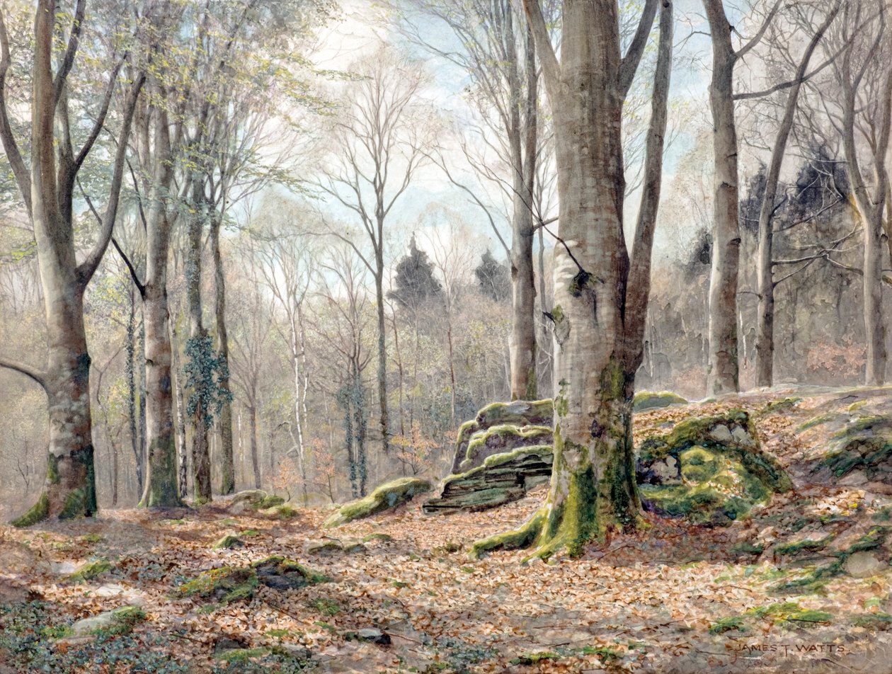 Een Wels Hout door James Thomas Watts