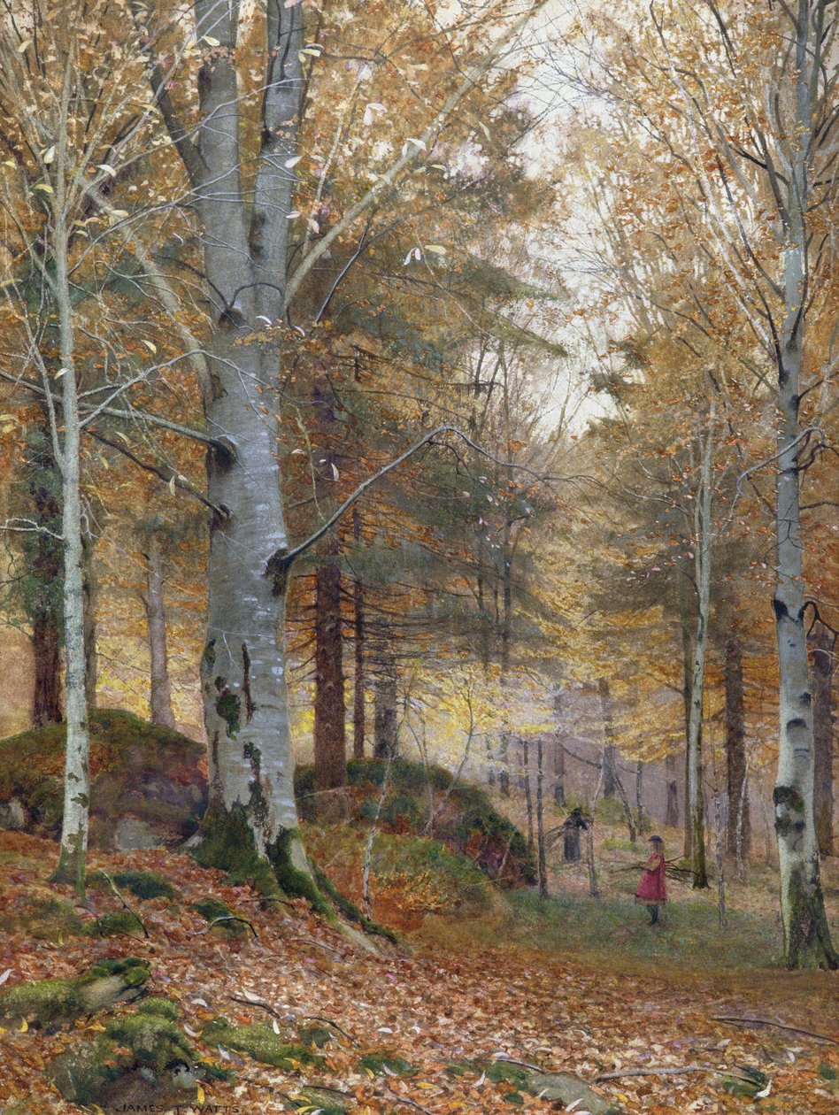 Herfst in het bos door James Thomas Watts