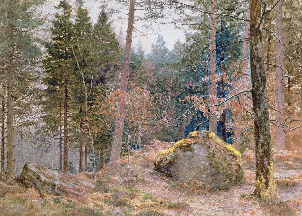 In een Welshe bos, winter door James Thomas Watts