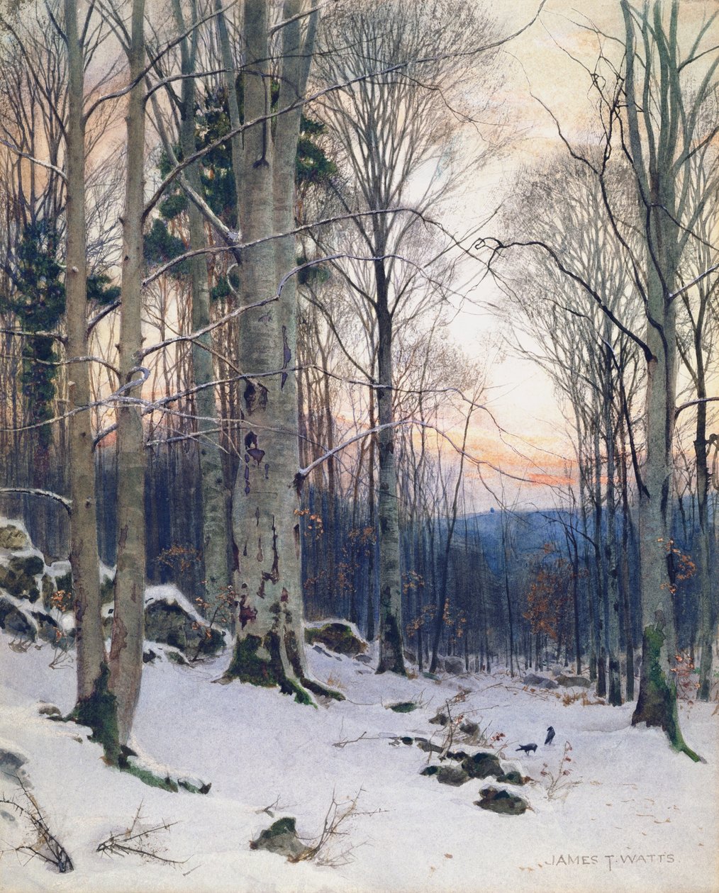 Schemering, Beukenbossen door James Thomas Watts