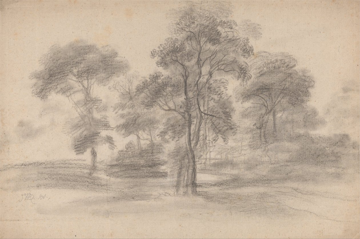 Landschap met bomen door James Ward
