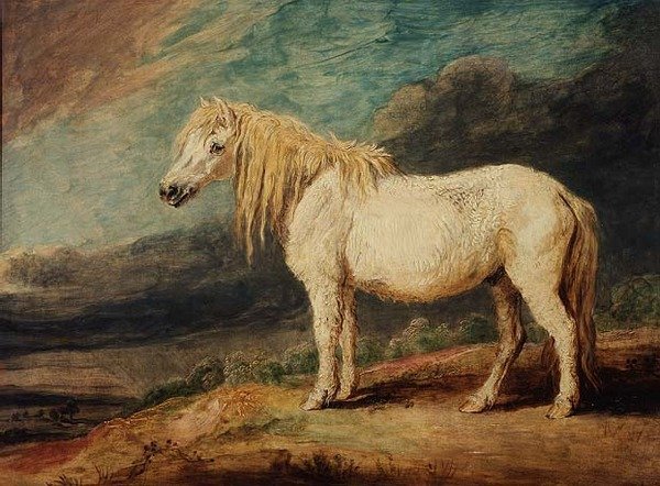 Shetlandpony door James Ward