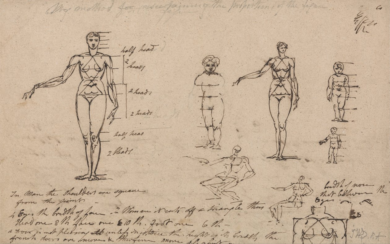 Anatomiestudies, metingen en schrijven door James Ward