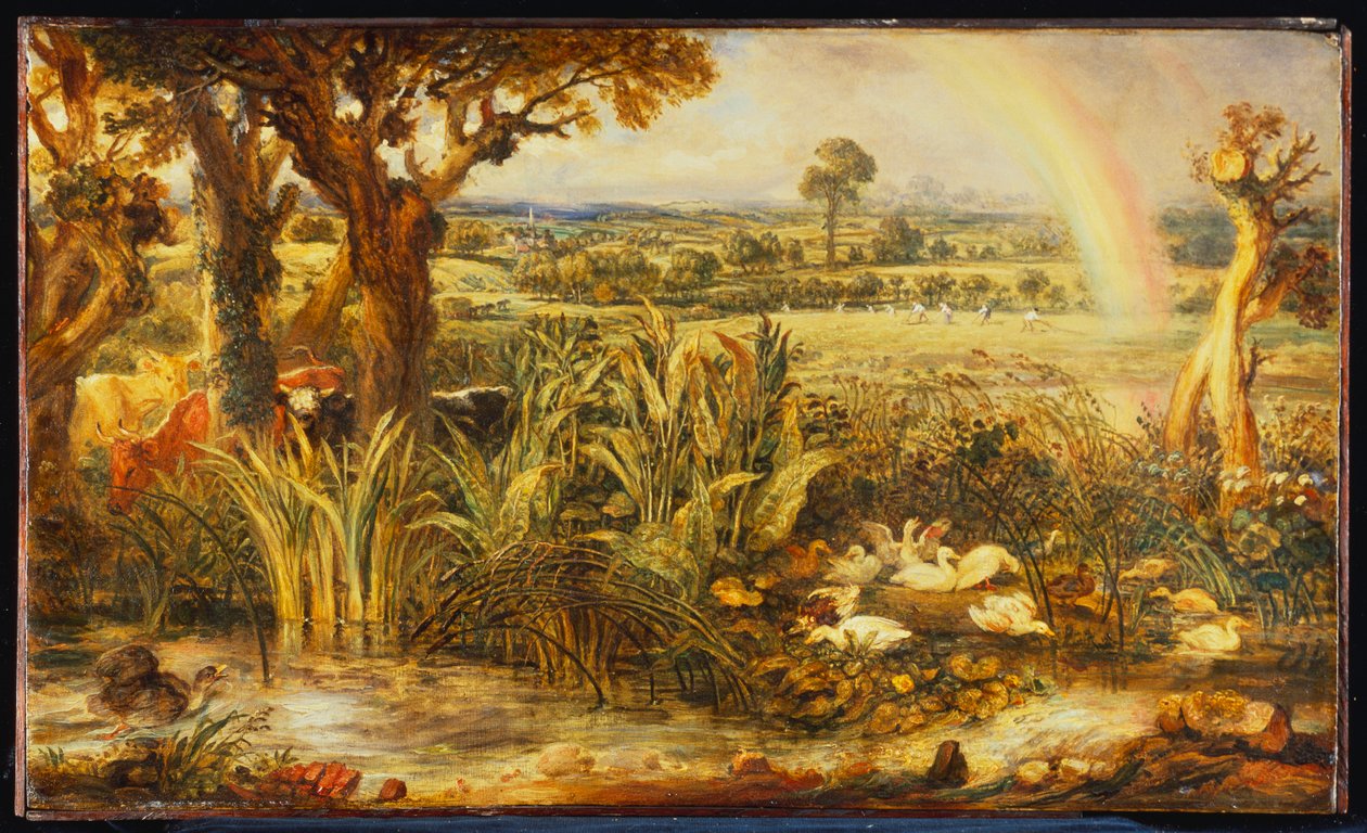 De regenboog door James Ward