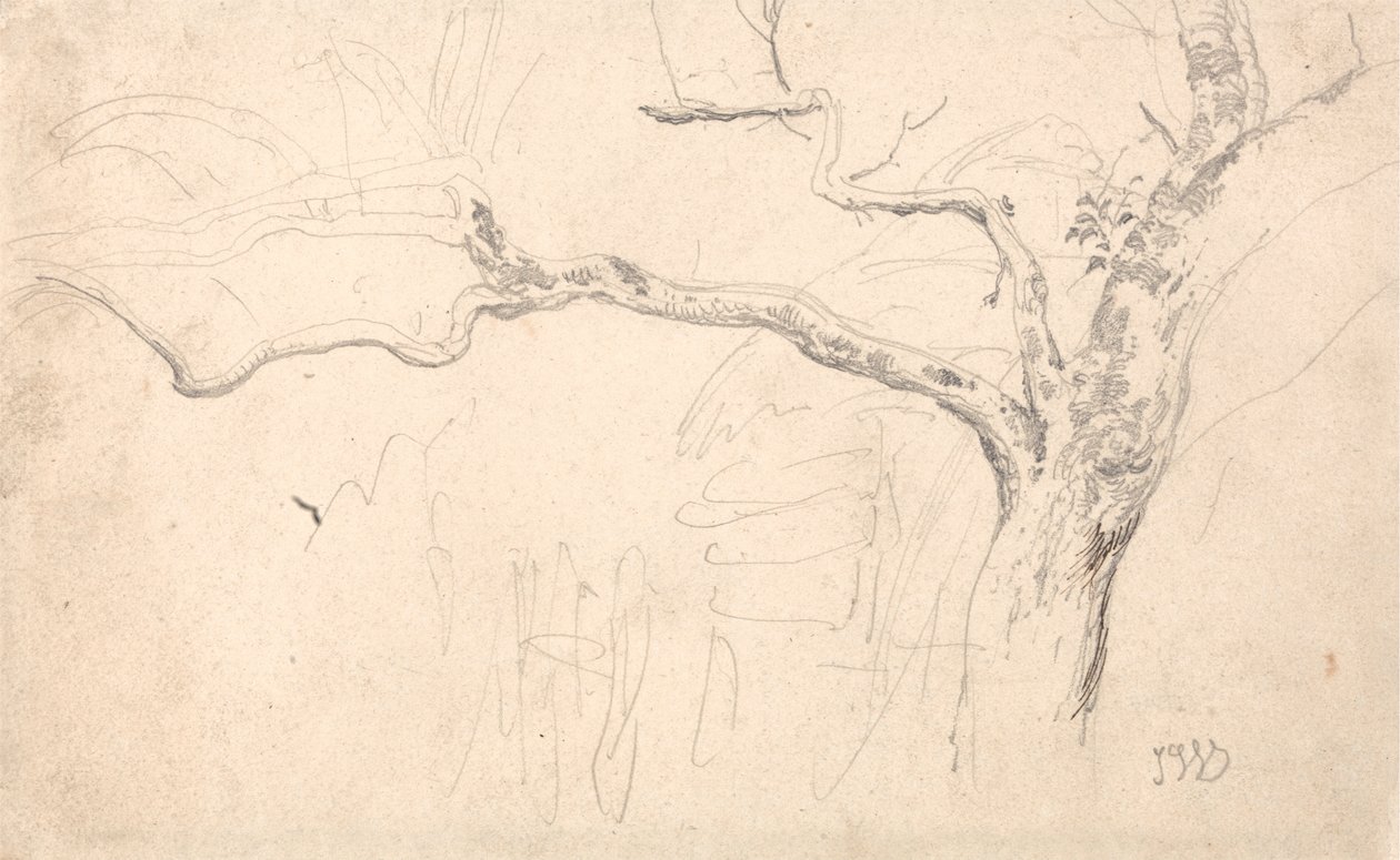 Boomstudie door James Ward
