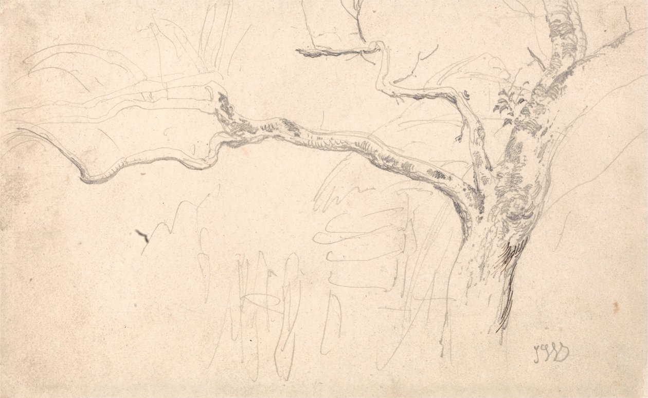 Bomenstudie door James Ward