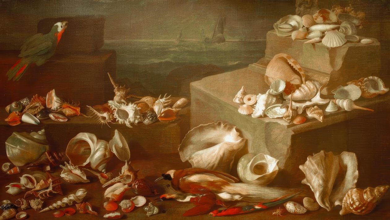 Stilleven met slakken en schelpen door Jan Davidsz de Heem