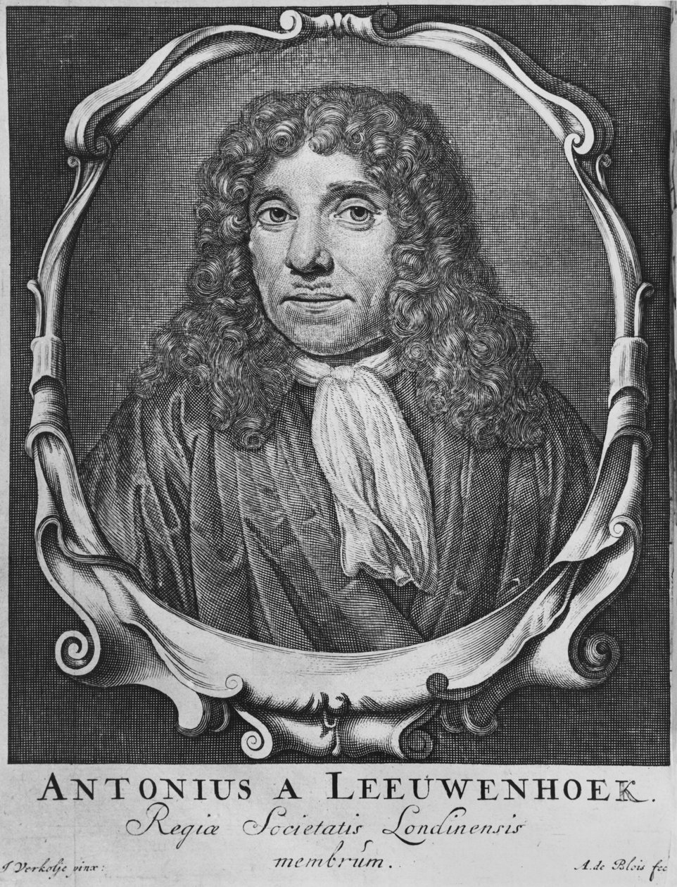 Portret van Anton Van Leeuwenhoek, illustratie uit 