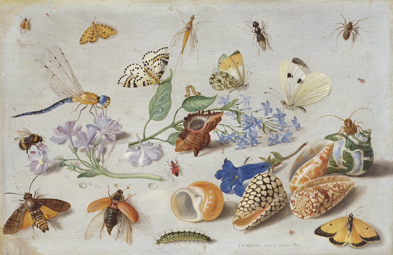 Vlinders en andere insecten, 1661 door Jan van Kessel the Elder