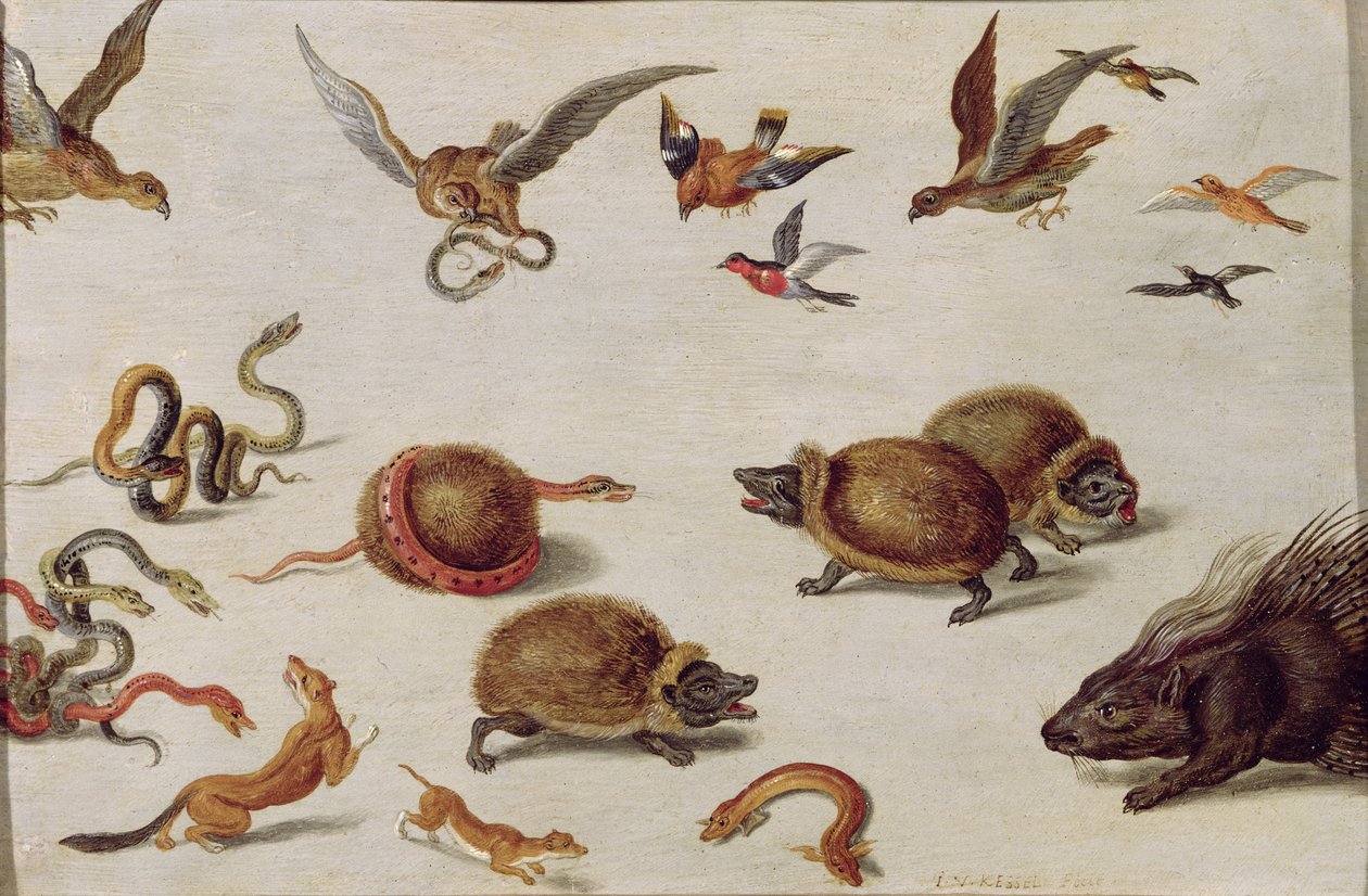De vijanden van slangen door Jan van Kessel the Elder