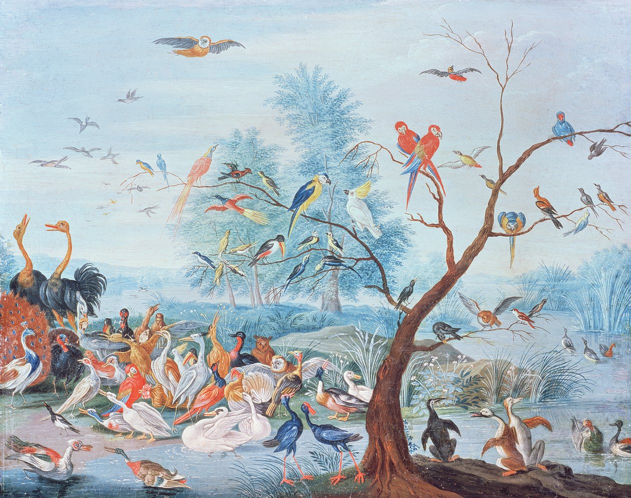 Tropische vogels in een landschap door Jan van Kessel the Elder