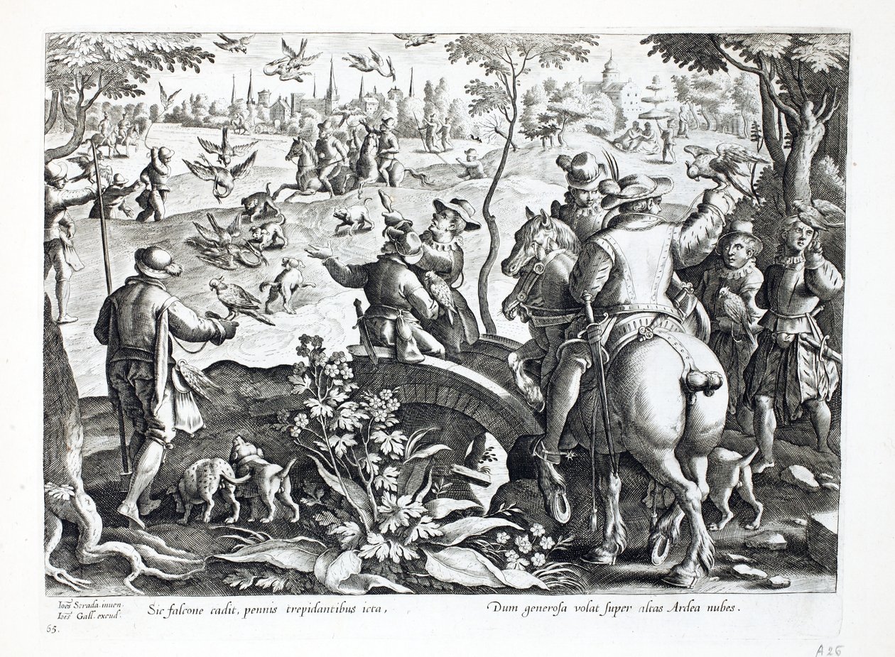 Jagen met valken, illustratie uit 